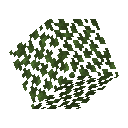Birch Leaves