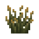 Firefly Bush