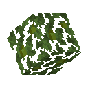 Jungle Leaves