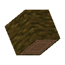 Jungle Log