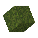 Moss Block