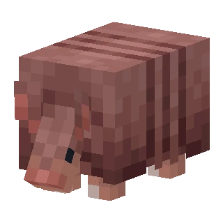 Armadillo