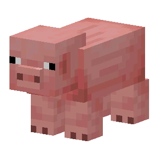 Pig