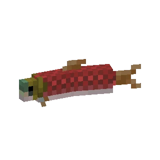 Salmon