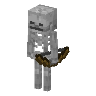 Skeleton